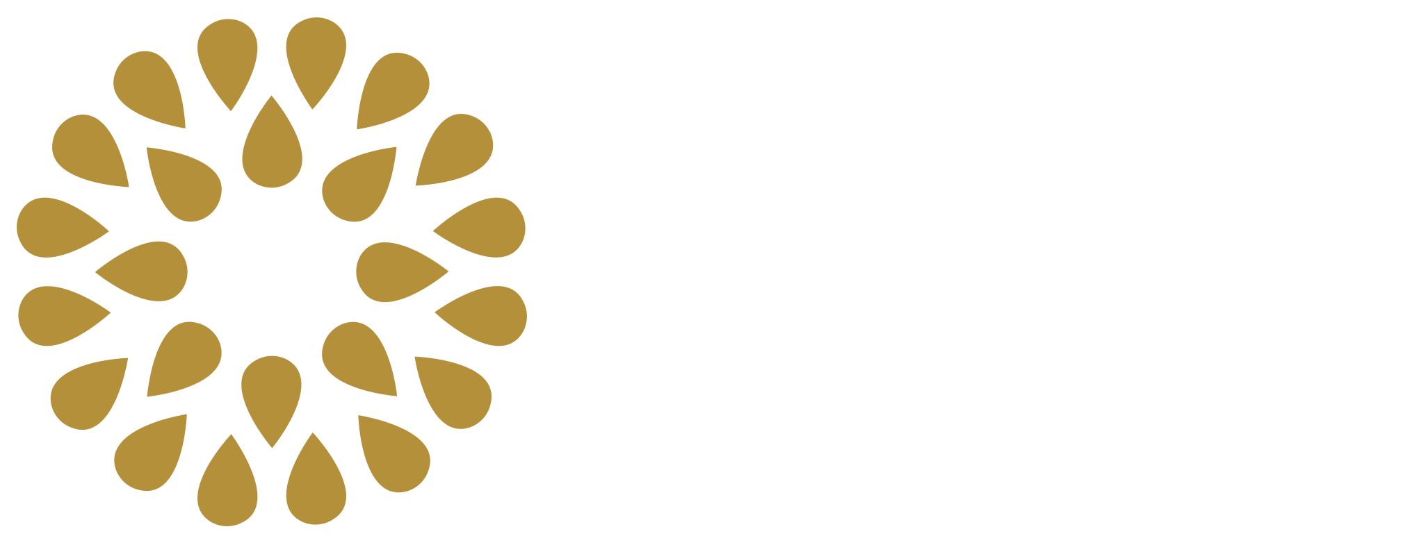 srbotique_logo